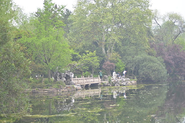 ����С��