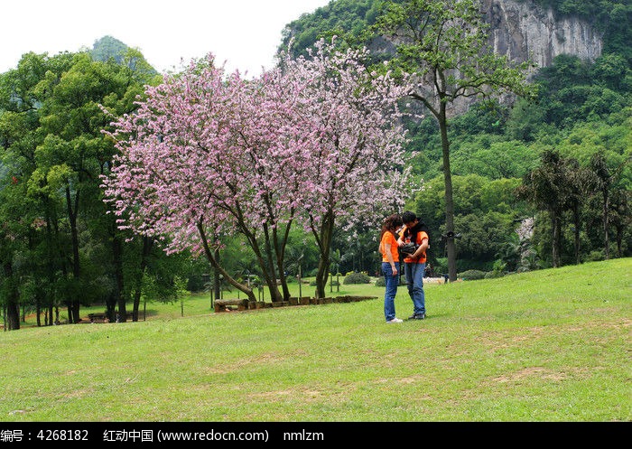 柳州龙潭风景区鲜花盛开