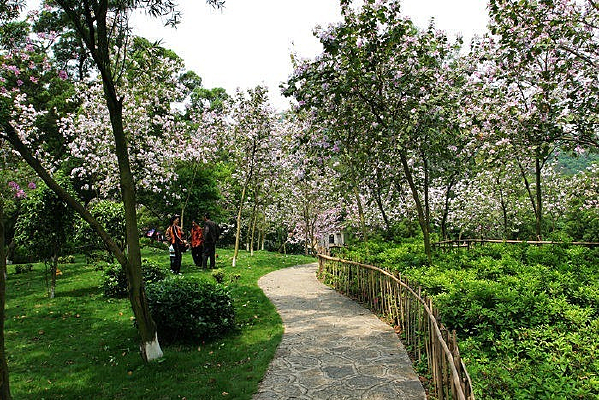 ����ɽˮ�һ�ʢ��