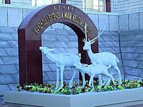 ��ӭ����