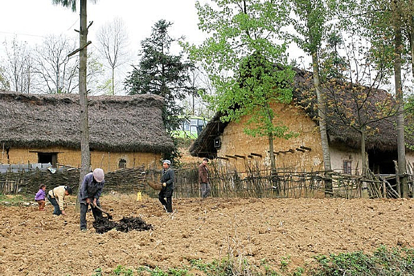 ��԰����