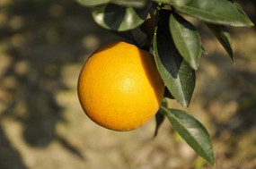 ���ϵĳ���