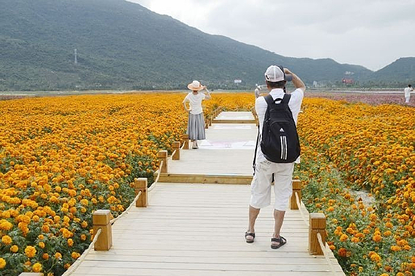 �ʻ�����