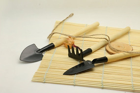 �ֻ�С����