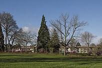 �������ݵ�