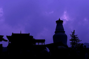 ��̨ɽ��Ժ�´����