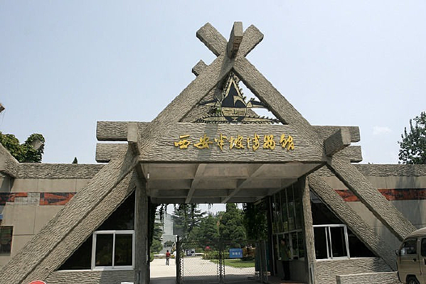 �������²����