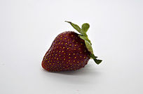һòݮ