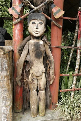 ����ľ��