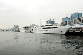 ��ɫ����