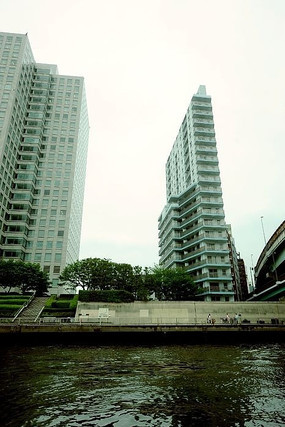 ���� ��ʽ