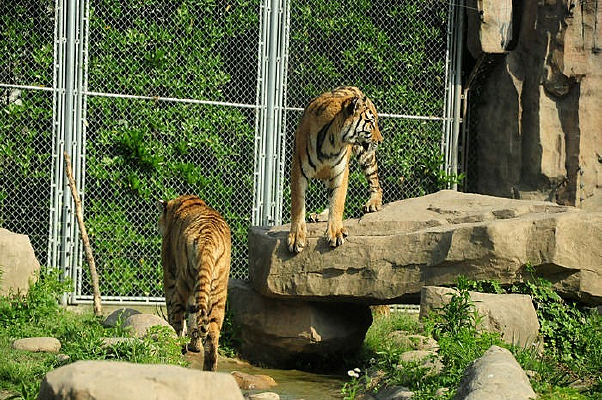 Ұ������԰�ϻ�