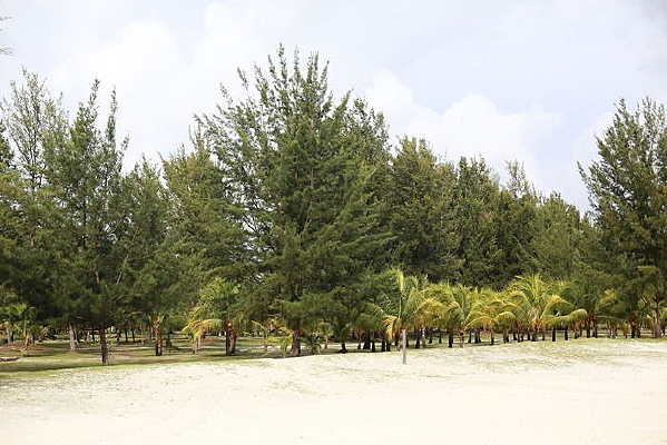 ��̯����������