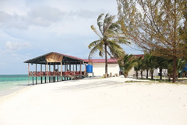 ��������