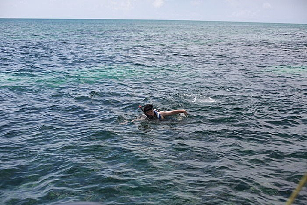 ��̯��������Ǳ