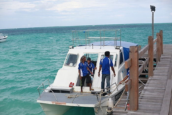 ��̯����ͷ