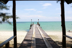 ��̯����ͷ