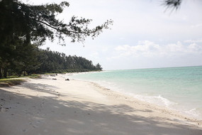 ��̯���⾰