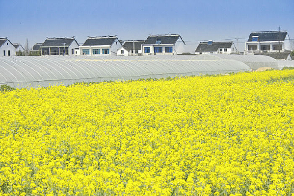 �����Ͳ˻�