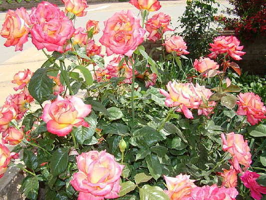 ����¼����Ƕ�