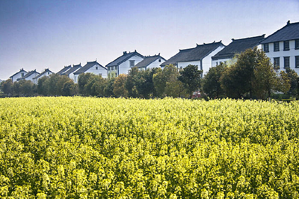 �������ׯ