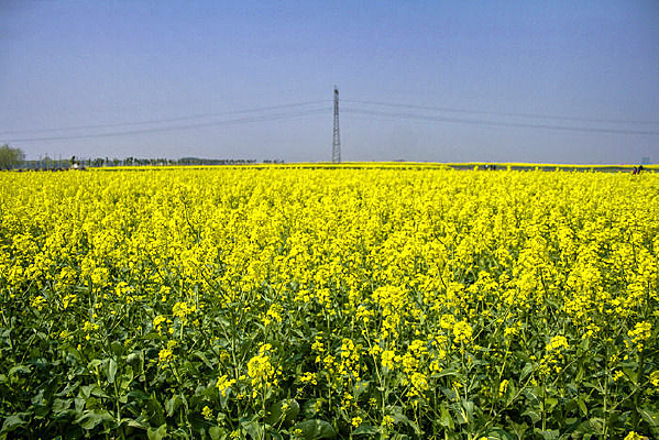 �Ͳ˻���ػ�