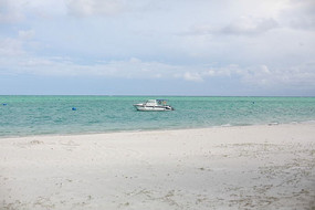 ��ͧͣ����̯������