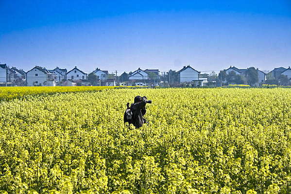 �����Ͳ˻�