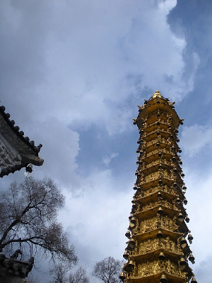 ��ɫ����