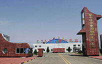 ��ţ����