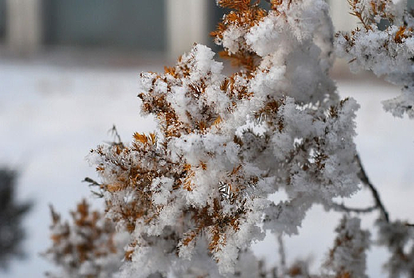 �������