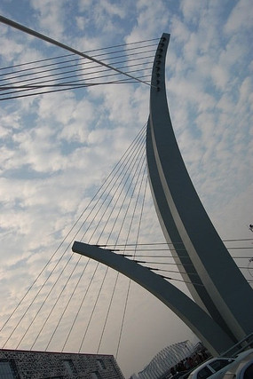 ֱ������