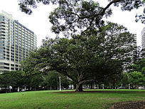 �̵�����