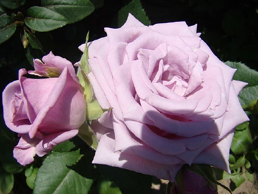 õ������