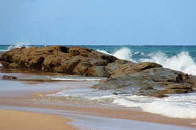 �����İ�