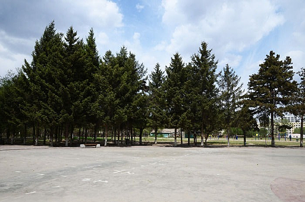 �����µ�����