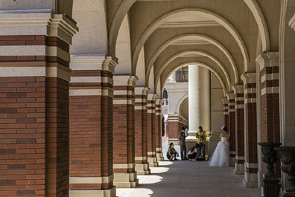 ʤ������