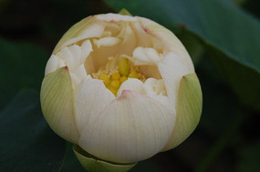 ˯������