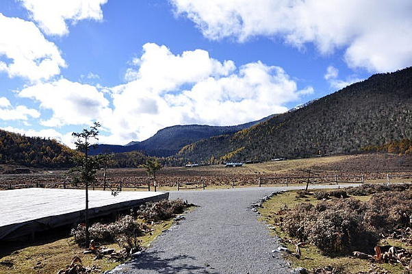 ����ɽ��