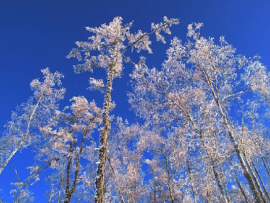 ѩ����װ�ع�����