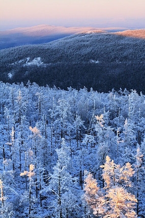 ԭʼɭ��ѩ��