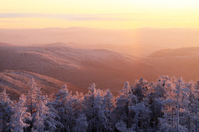 ԭʼɭ��ѩ��ĺɫ