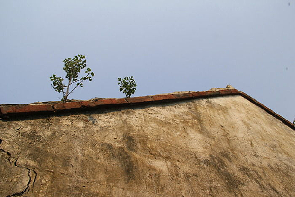 �ɳ���С����