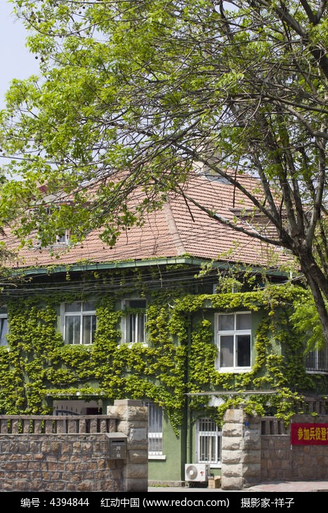 ��������ɽ��ͼƬ