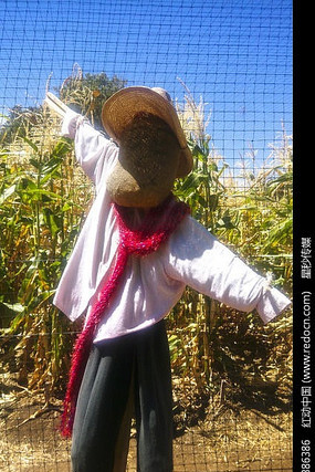 �������ũ�����