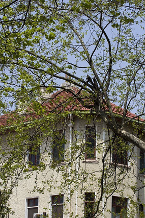 �¹�����