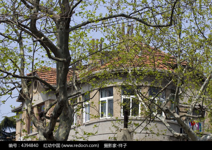 �ൺ�ķ��Ӿ�ɫͼƬ