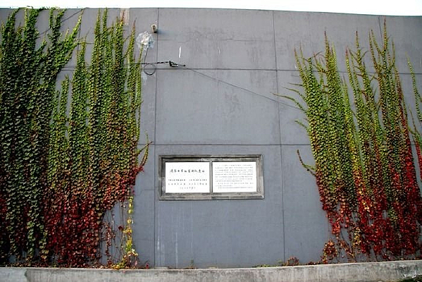 ������̳��԰