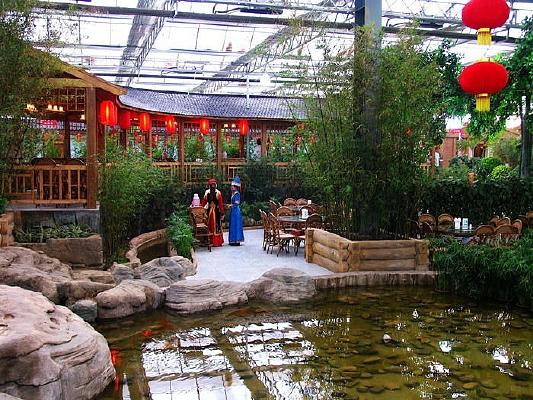 �ɽ�����