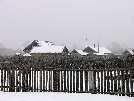 ���������ͥԺ��